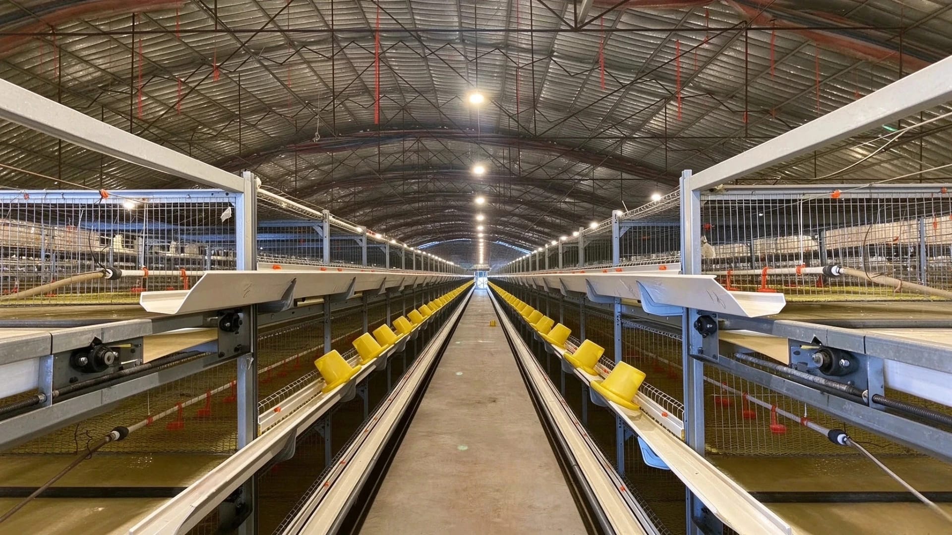 Stacked cage poultry house uniform LED tube lighting