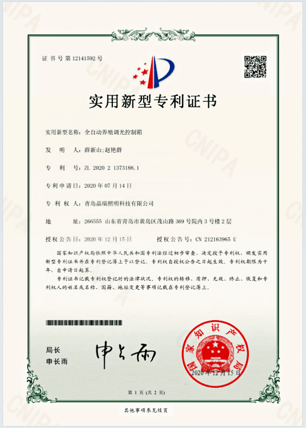 Design Patent