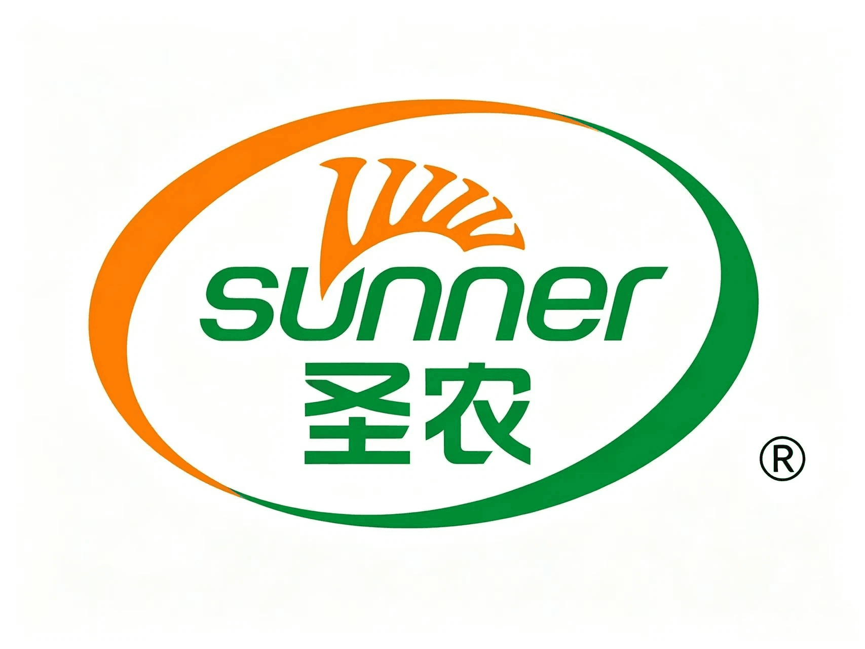 Partner 8
