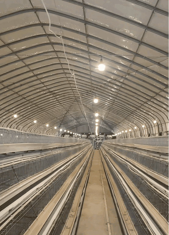 LED Bulb for Chicken Farm — PLCD Dimming specifications