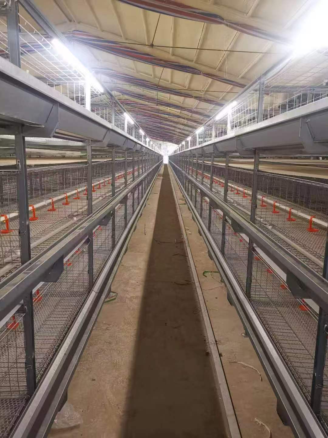 T5 LED Tube for Poultry Farm — PWM Dimming key performance